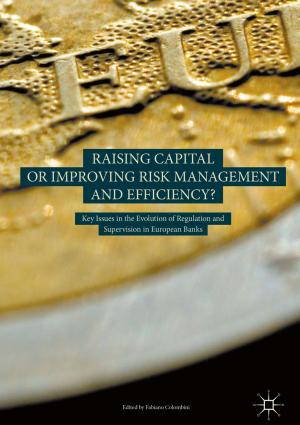 Cover of the book Raising Capital or Improving Risk Management and Efficiency? by 