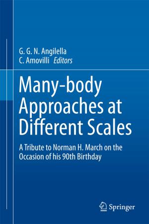 Cover of the book Many-body Approaches at Different Scales by Monique Jeanblanc, Anna Aksamit