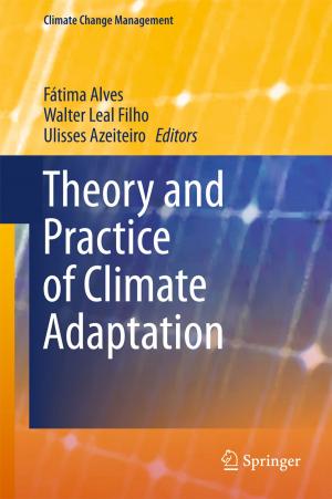 Cover of the book Theory and Practice of Climate Adaptation by Ruth Hanau Santini