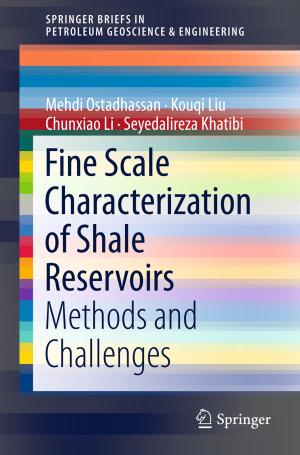 Cover of the book Fine Scale Characterization of Shale Reservoirs by Maurizio Ambrosini