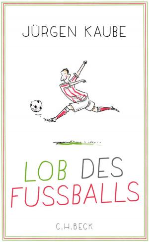 Cover of the book Lob des Fußballs by Derek Potter