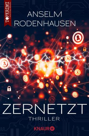 Book cover of Zernetzt