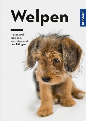 Cover of the book Welpen by Peter Berthold, Gabriele Mohr