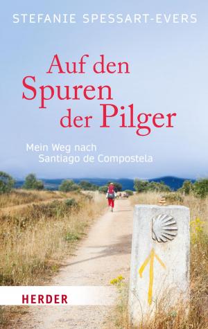 Cover of the book Auf den Spuren der Pilger by Marvin Rubinstein