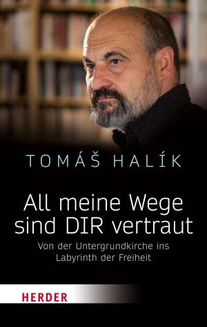 Cover of the book All meine Wege sind DIR vertraut by Jürgen Werbick