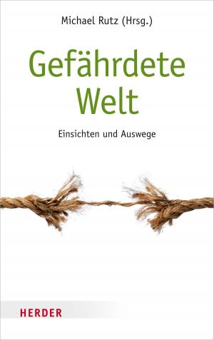 Cover of the book Gefährdete Welt by Hans Joas, Robert Spaemann