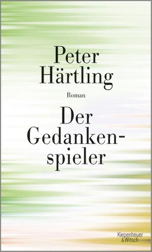 Cover of the book Der Gedankenspieler by Maxim Biller