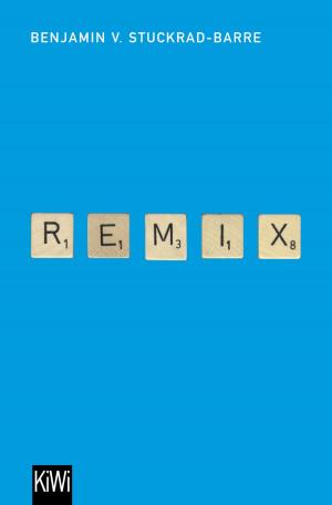 Cover of the book Remix by Toralf Staud, Johannes Radke