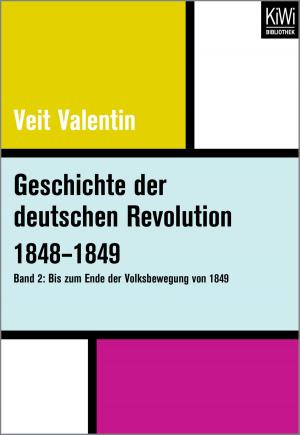 Cover of the book Geschichte der deutschen Revolution 1848–1849 by Raymond Aron