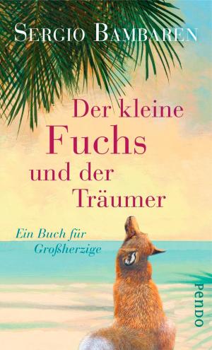 Cover of the book Der kleine Fuchs und der Träumer by Maarten 't Hart