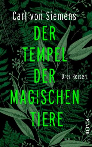 Cover of the book Der Tempel der magischen Tiere by Francis Woodburn