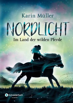 bigCover of the book Nordlicht, Band 01 by 