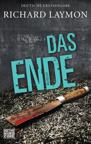 Cover of the book Das Ende by C.R. Martínez