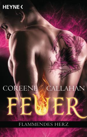 Cover of the book Feuer - Flammendes Herz by Carmen Carter