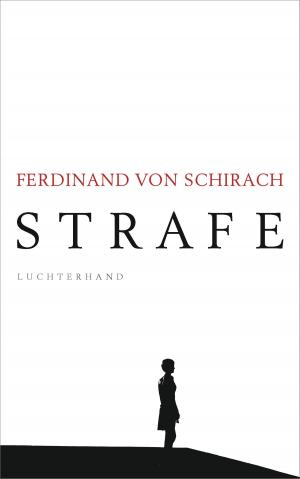 Cover of the book Strafe by Dimitri Verhulst
