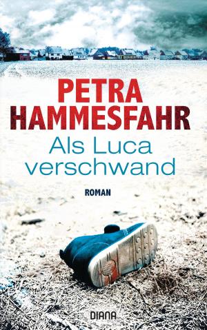 Book cover of Als Luca verschwand