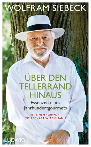 Cover of the book Über den Tellerrand hinaus by Christiane Tramitz
