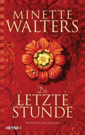 Book cover of Die letzte Stunde