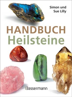 Book cover of Handbuch Heilsteine