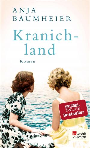 Cover of the book Kranichland by Vladimir Nabokov, Dieter E. Zimmer