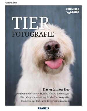 Book cover of Fotoschule Extra Tierfotografie