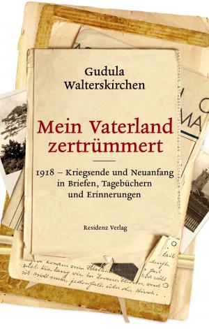Cover of the book Mein Vaterland zertrümmert by Helwig Brunner, Kathrin Passig, Franz Schuh