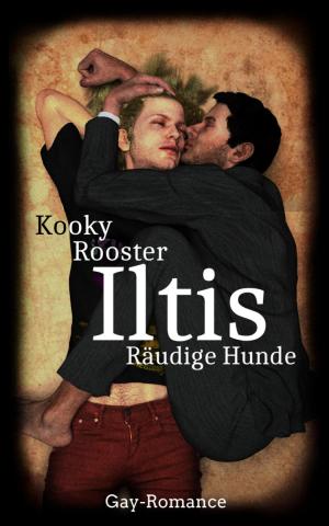 Cover of the book Iltis by Noah Daniels