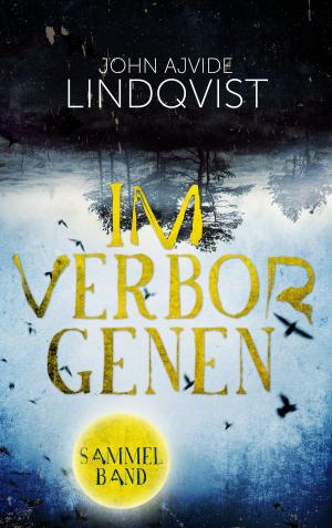 Cover of the book Im Verborgenen by John Ajvide Lindqvist