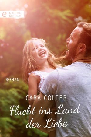 Book cover of Flucht ins Land der Liebe