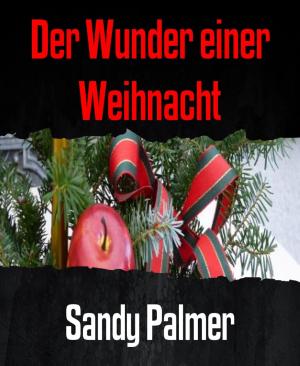 Cover of the book Der Wunder einer Weihnacht by Danny Wilson