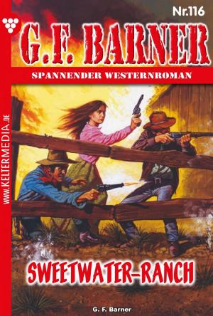 Cover of the book G.F. Barner 116 – Western by Patricia Vandenberg