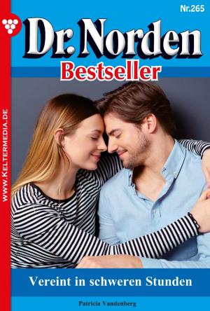 bigCover of the book Dr. Norden Bestseller 265 – Arztroman by 