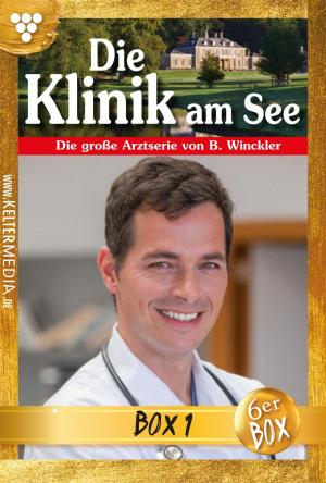 Cover of the book Die Klinik am See Jubiläumsbox 1 – Arztroman by Britta von Meierhofen