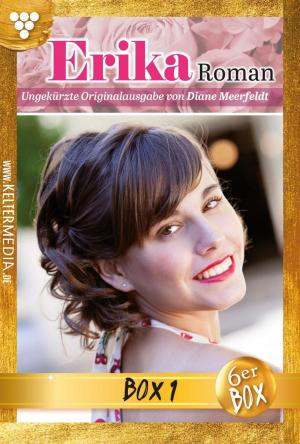 Book cover of Erika Roman Jubiläumsbox 1 – Liebesroman