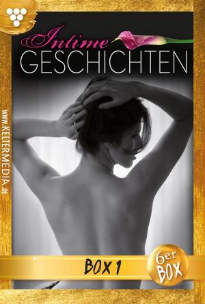 Book cover of Intime Geschichten Jubiläumsbox 1 – Erotikroman