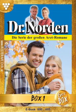 Cover of the book Dr. Norden (ab 600) Jubiläumsbox 1 – Arztroman by Florian Burgstaller