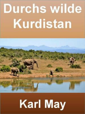 Cover of the book Durchs wilde Kurdistan - 404 Seiten by Renate Riederer
