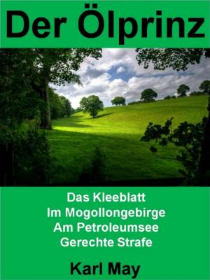 Cover of the book Der Ölprinz by Alina Frey