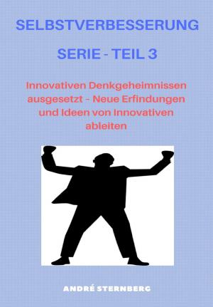 Cover of the book Selbstverbesserung Serie - Teil 3 by Bettina Reiter