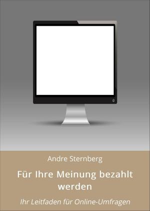 Cover of the book Für Ihre Meinung bezahlt werden by Michael Dorn