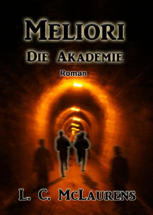 Cover of the book Meliori by Sheri-Lynn marean