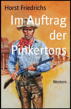 Cover of the book Im Auftrag der Pinkertons by Venture Omor