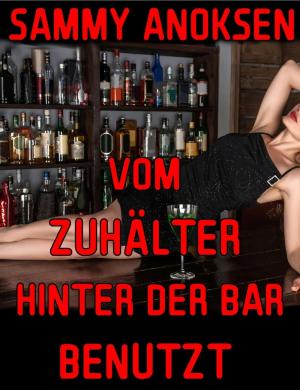 Cover of the book Vom Zuhälter hinter der Bar benutzt by Randy Norton