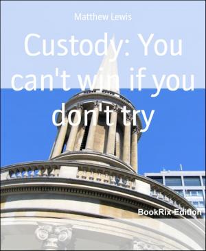 Cover of the book Custody: You can't win if you don't try by BR Raksun