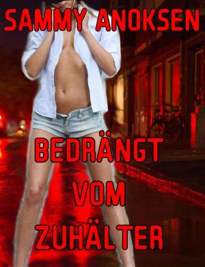 Cover of the book Bedrängt vom Zuhälter by Barbara Keller