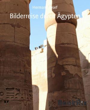 Cover of the book Bilderreise durch Ägypten by Wilfried A. Hary
