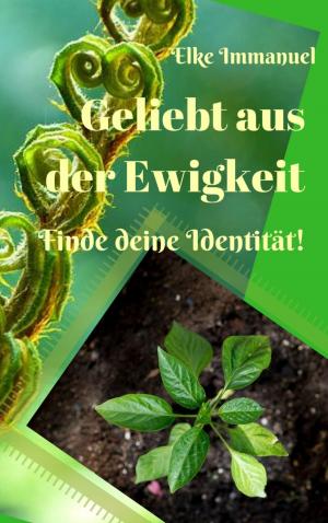 Cover of the book Geliebt aus der Ewigkeit by Jennifer Stepanik