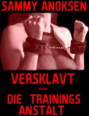 Book cover of Versklavt - Die Trainingsanstalt