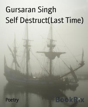 Cover of the book Self Destruct(Last Time) by Freya Phoenix, Michaela Feitsch