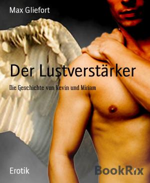 Cover of the book Der Lustverstärker by Glenn P. Webster